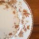 Set of 5 plates in Terre de Fer Creil & Montereau model Mignardise