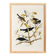 Poster about the Rusty Grackle, after an old engraving from 1827.