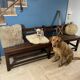 Vintage oak church pew 1940 /1950