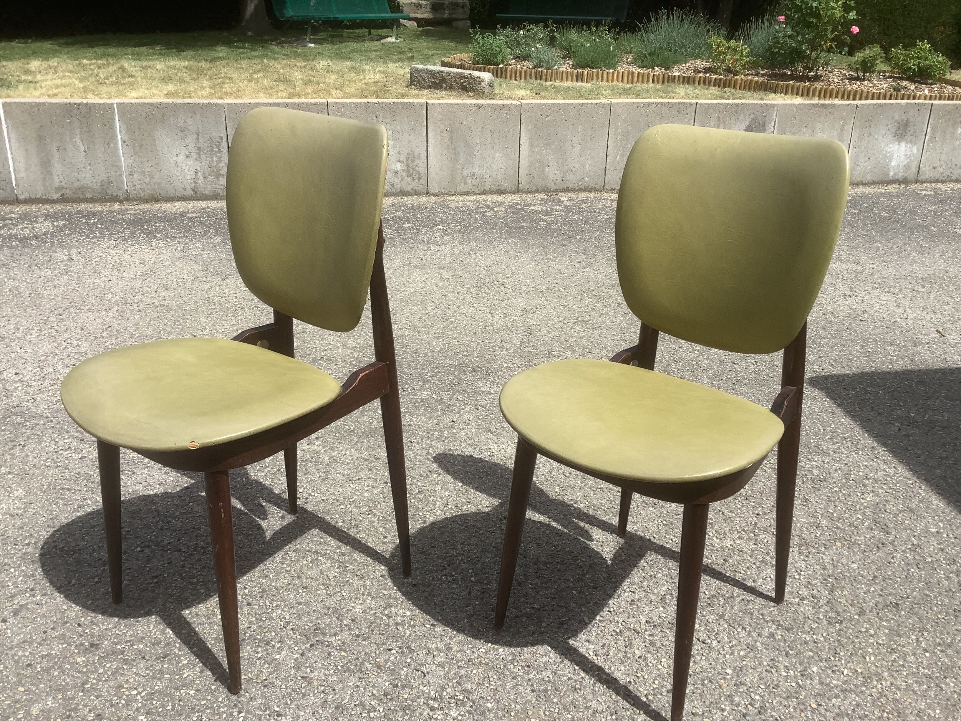 Chairs Pégase Baumann