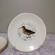 6 assiettes plates Gien Marly "oiseaux des forêts"