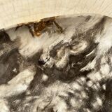 Very large empty pocket or dish in medium light petrified wood 1143