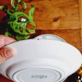 Set of 12 flat plates with slight defects Saint Amand 1932