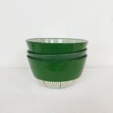 Large bowl - PALM green border