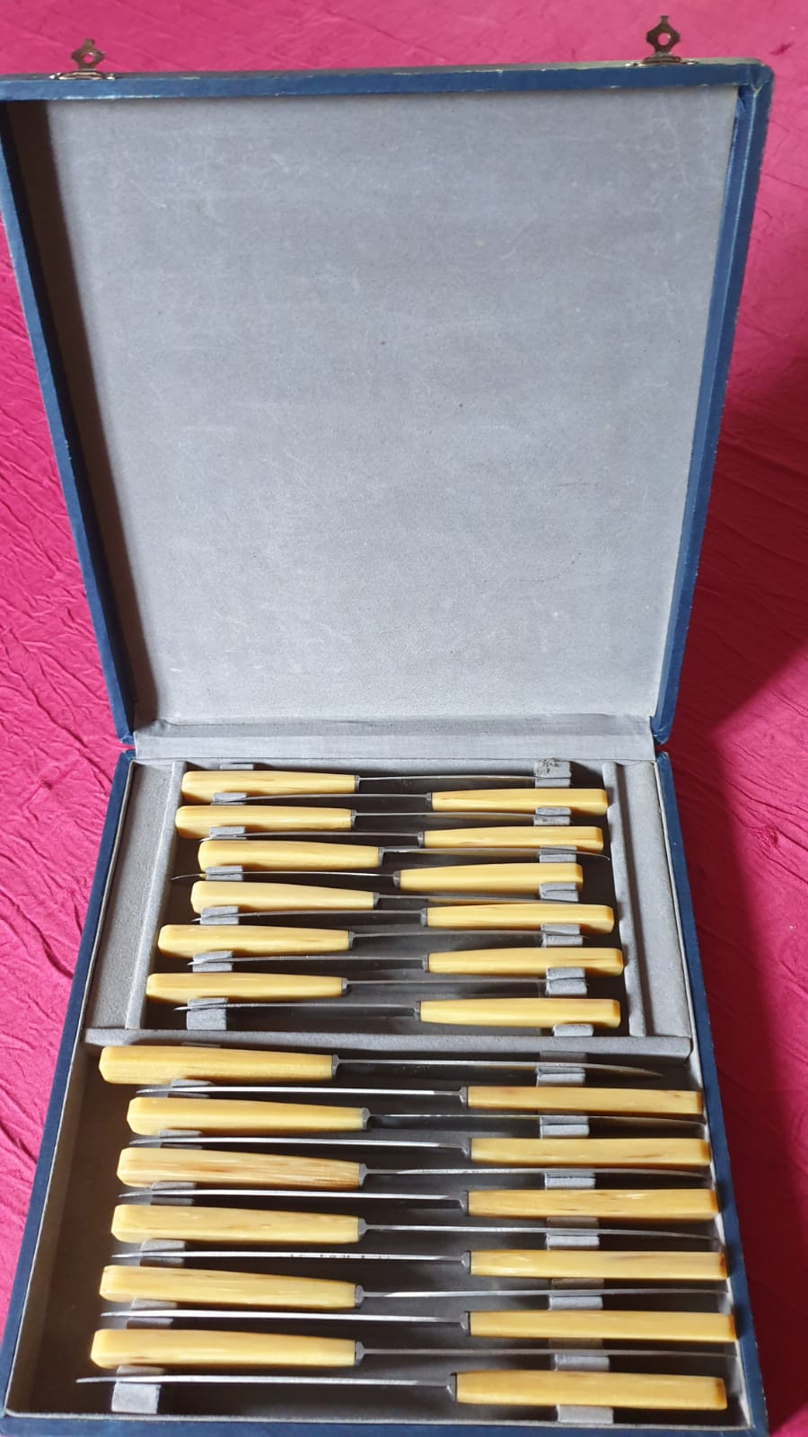 Box of 24 horn handle knives
