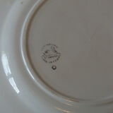 + Set 8 dessert plates Céranord - Saint Amand model Eglantines +