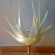 Maison Rougier lamp 70s
