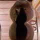 Porte parapluie bottes cavalier