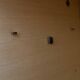 Vintage 4-door mirrored wardrobe