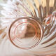 Lot of 6 Pink Tea Cups - Rosaline Subcups ARCOROC LUMINARC Tea Service