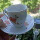 9 espresso cups Scherzer Bavaria - Bavarian porcelain 70s