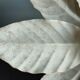 Pair of vintage white metal wall lamps/ceiling lamps