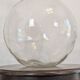 Antique transparent 60L jar, country spirit.