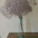 Transparent glass vase