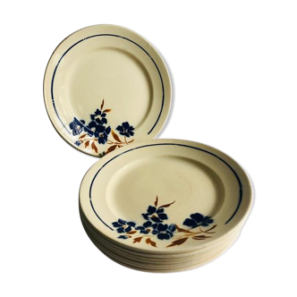 Badonvillers flat plates