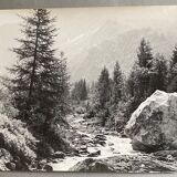 Photo film Torrent Mountains Fir Bernard Darot Photo Club Nantais