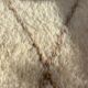 Beniouarain carpet