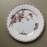 "Carmen" - 5 flat plates ø 23.5cm ironstone Sarreguemines U&C