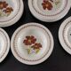 16 assiettes vintages