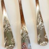 PLATIL 12 Couverts à Poisson  Métal Argenté