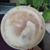 Ceramic pitcher