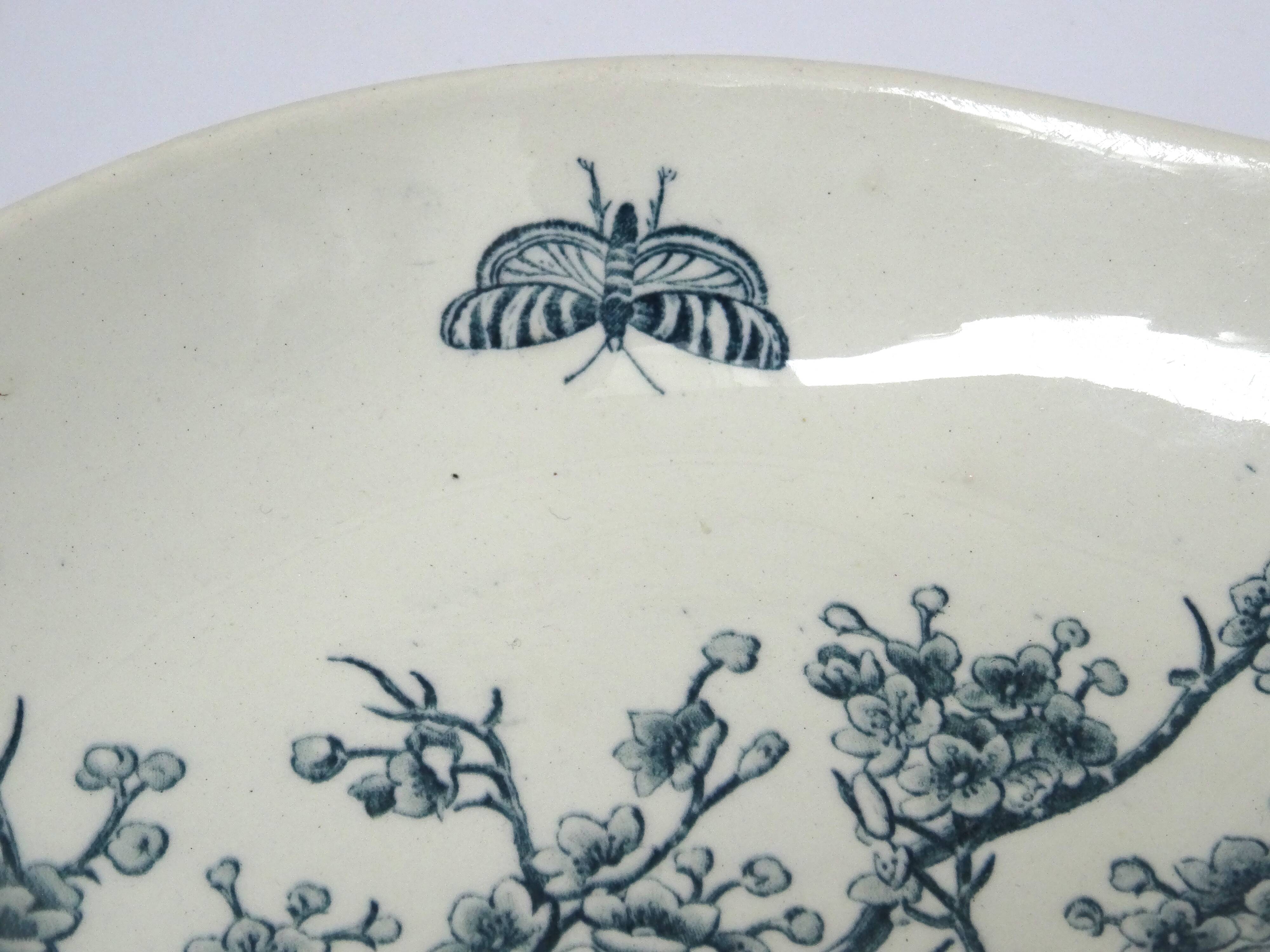 Ravier Luneville Insects