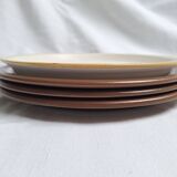 Vintage hand-painted flower stoneware plates