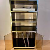 Hi-Fi furniture/Plexi and gold vinyls