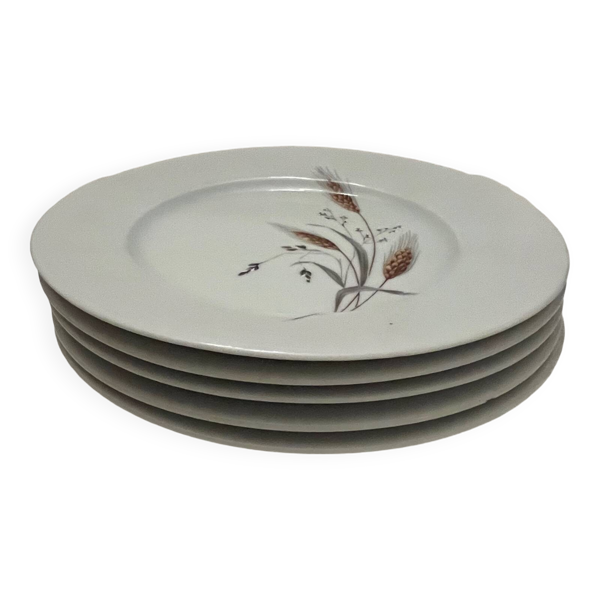 5 assiettes à dessert en porcelaine