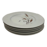 5 porcelain dessert plates