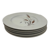 5 porcelain dessert plates