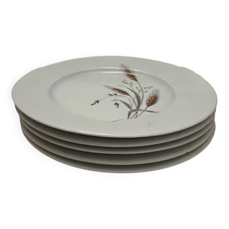 5 porcelain dessert plates