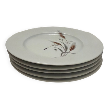 5 assiettes à dessert en porcelaine