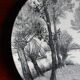 Assiette de collection gravure Boch la Louvière
