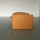 Set of 2 chairs P60 with ottoman by Vittorio Introini for Saporiti 1960