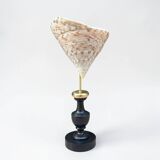 Nacre cone shell Troca on a turned black wooden base, late 19th century.