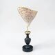 Nacre cone shell Troca on a turned black wooden base, late 19th century.