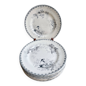 8 flat plates - Ironstone - Choisy-le-Roi