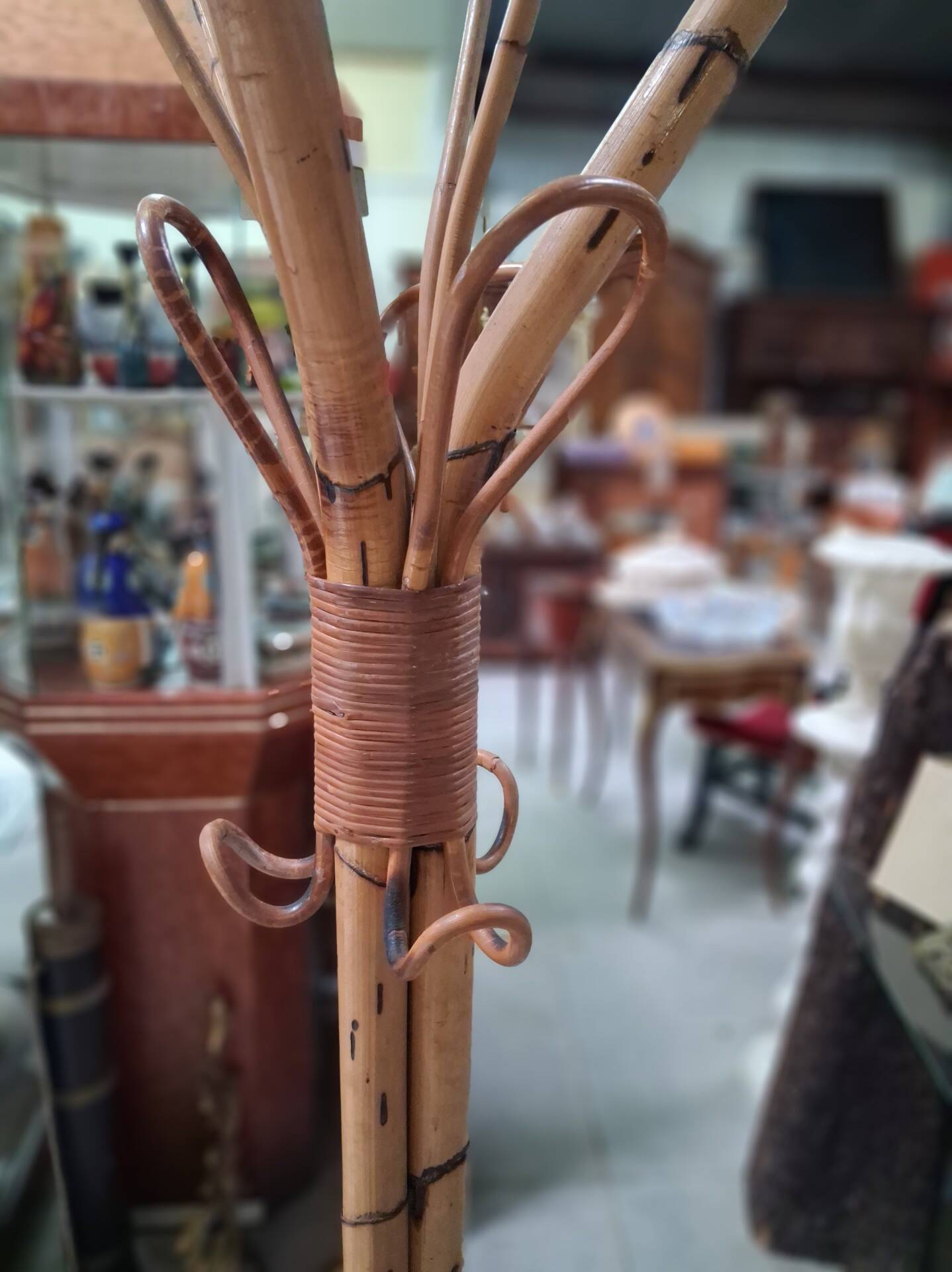 Parrot Coat Rack in Bamboo and Rattan