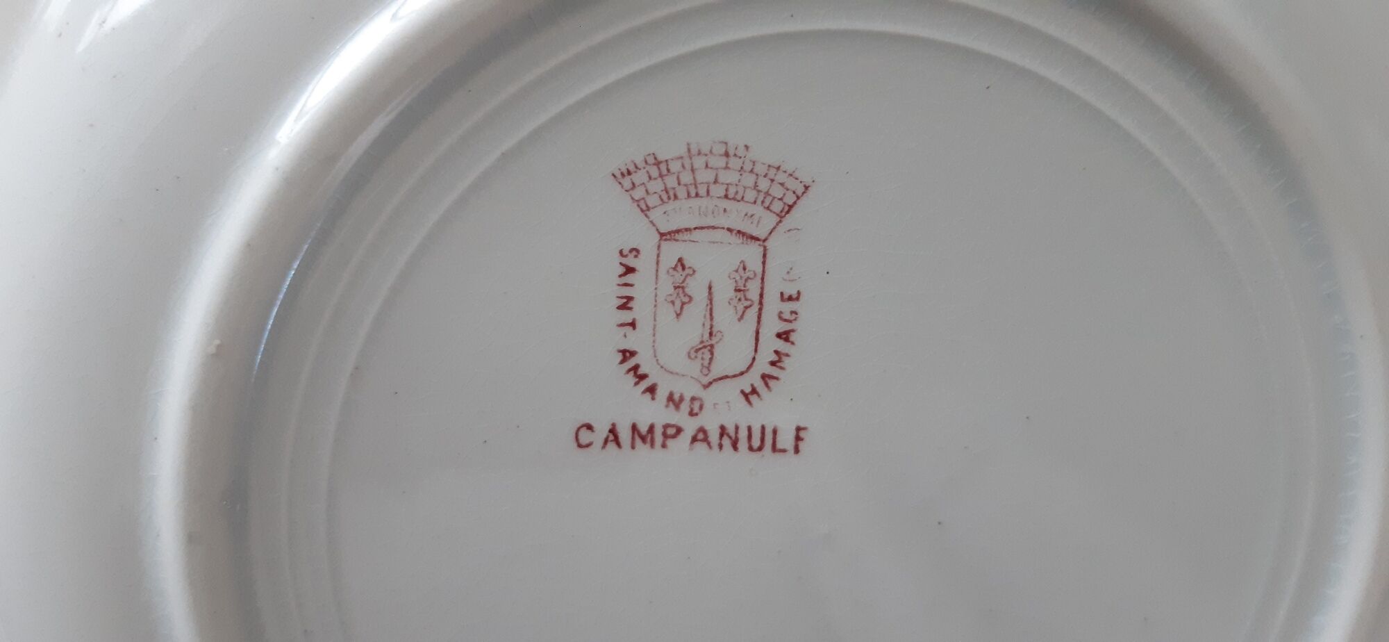Set of 6 hollow plates Terre de Fer XIXth Saint Amand "Campanule" "Anémone"