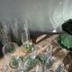6 water glasses
