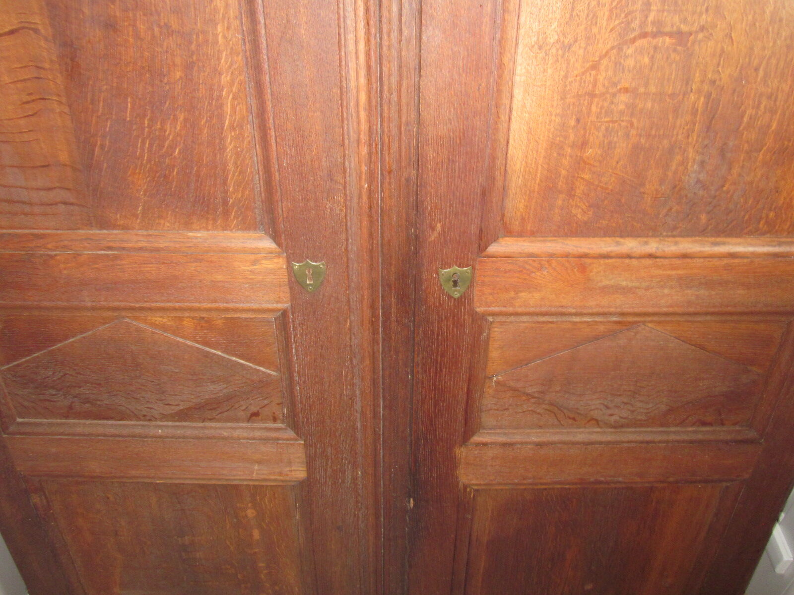 Pair of old door