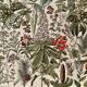 Lithographie sur les plantes médicinales (gui) - 1930