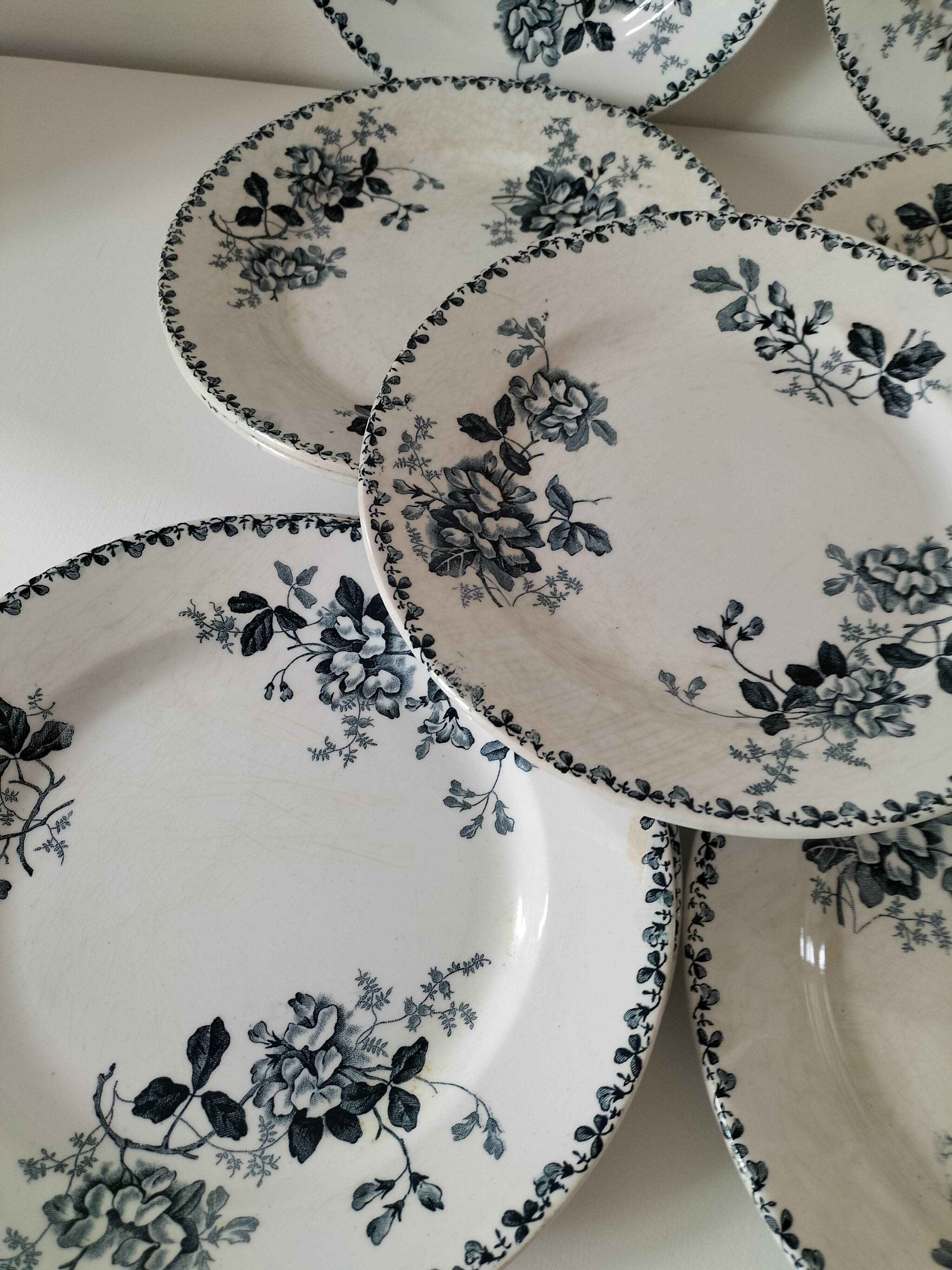 Set of 10 ironstone plates Moulin des Loups Acacia