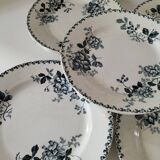 Set of 10 ironstone plates Moulin des Loups Acacia