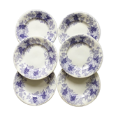 Set de 6 assiettes à dessert Sarreguemines Bryonia Terre de Fer