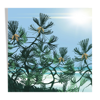 A summer feel