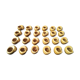 Set of 24 fire ceramic snail shells