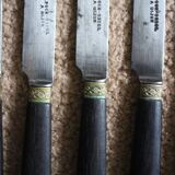 A set of 8 small knives with black wooden ferrules