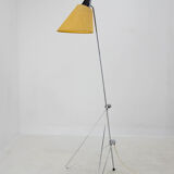 Floor lamp by Hurka for Napako, 1950s, restored